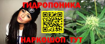 стаф Рыбинск