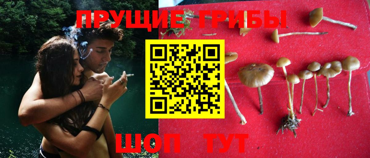 Галлюциногенные грибы Psilocybine cubensis  Вход с VPN  Прокопьевск 