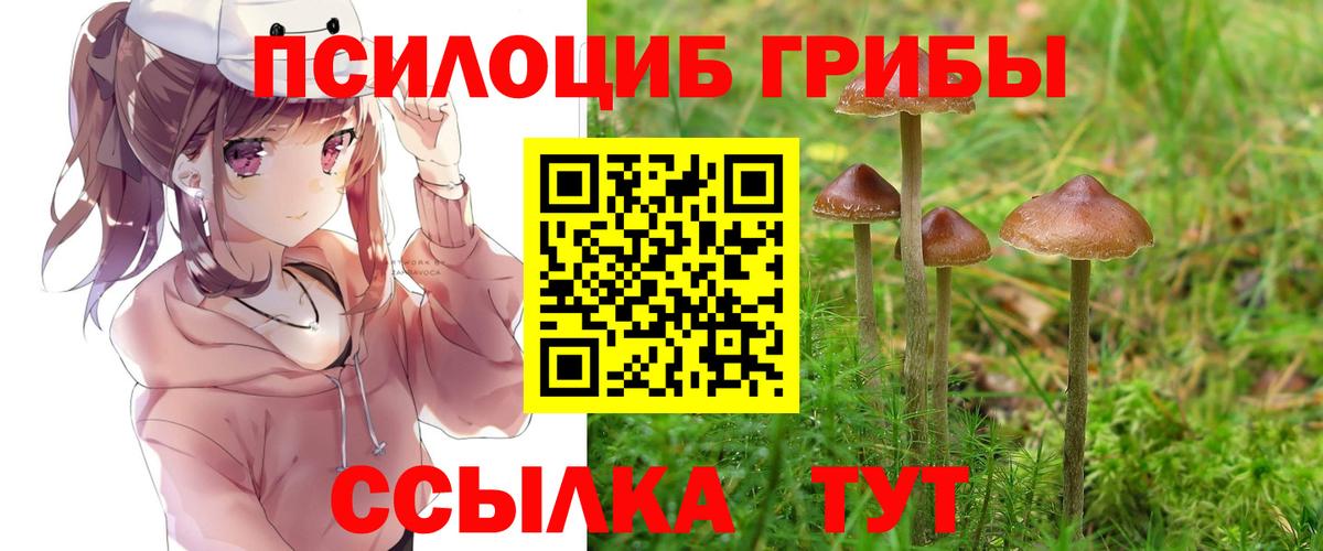 Галлюциногенные грибы мицелий Прокопьевск